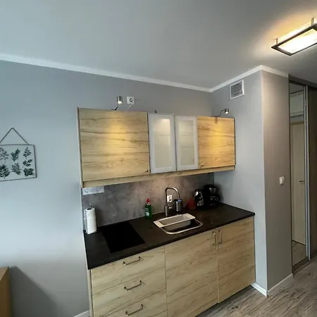 Baltic 아파트 슈비노우이스쳬